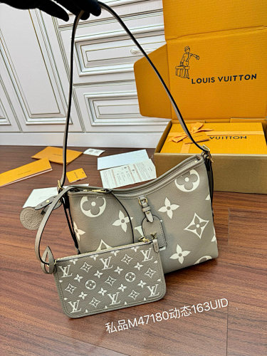 Louis Vuitton bag