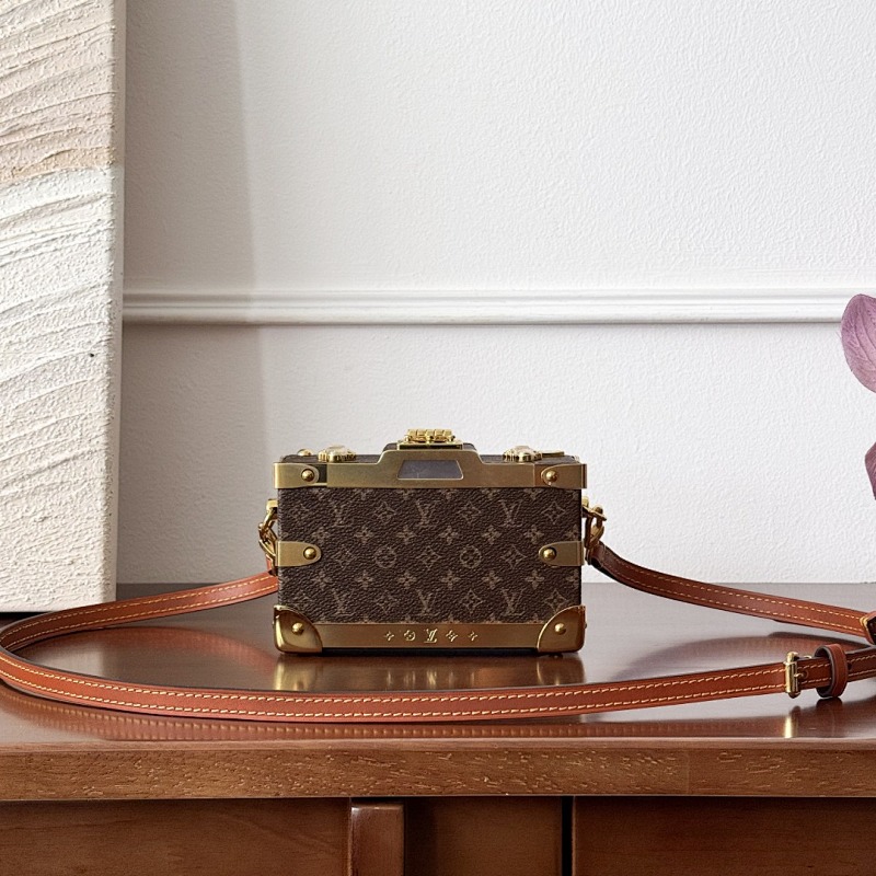 Louis Vuitton camera bag