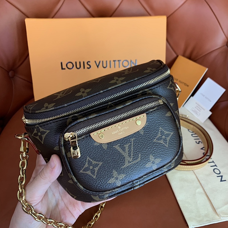 Louis Vuitton belt bag