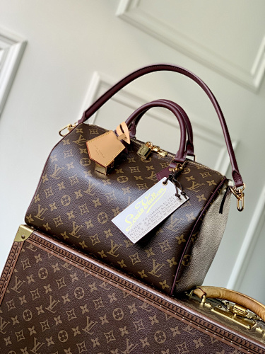 Louis Vuitton bag
