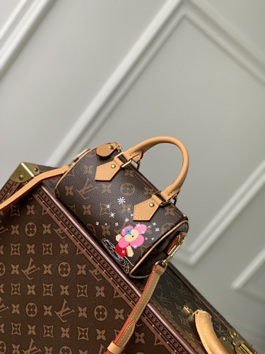 Louis Vuitton bag
