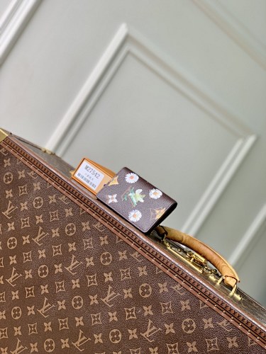 Louis Vuitton wallet
