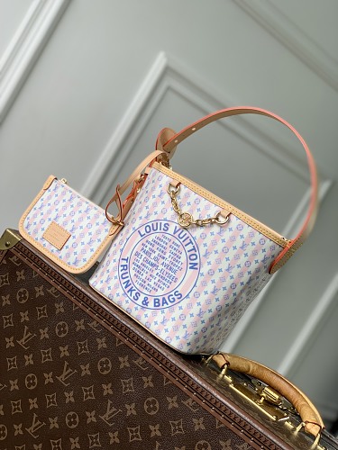 Louis Vuitton bag
