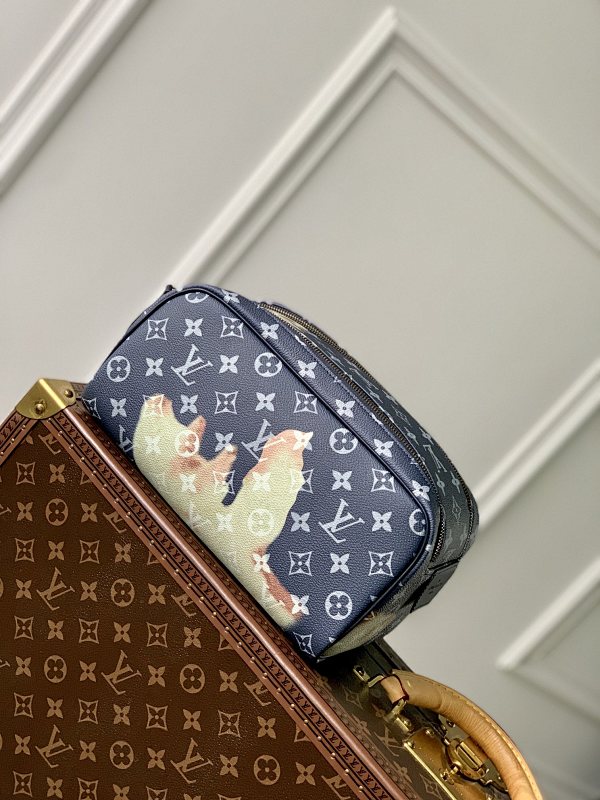 Louis Vuitton clutch