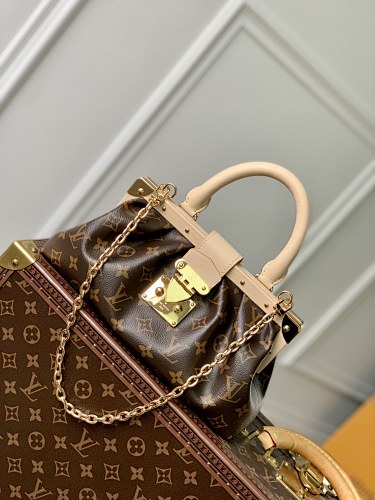 Louis Vuitton clutch