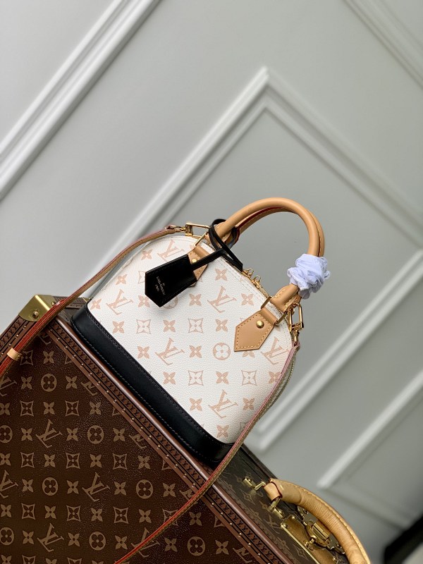 Louis Vuitton bag