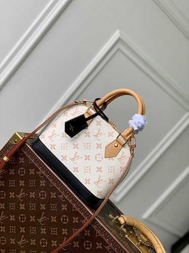 Louis Vuitton bag