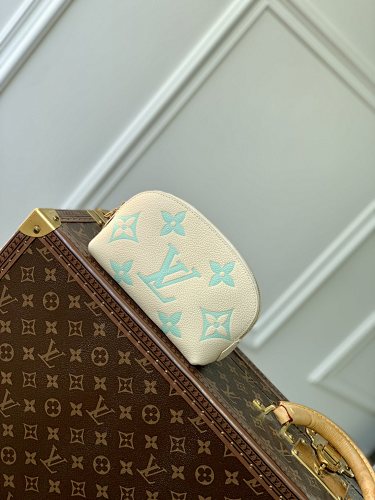 Louis Vuitton bag