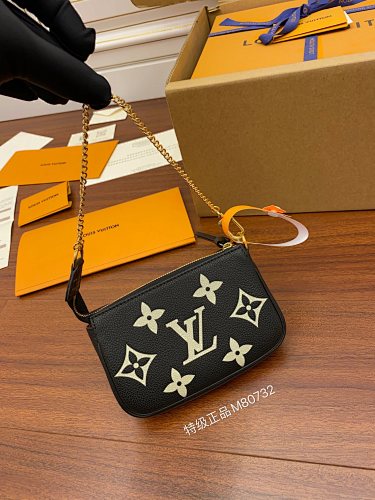 Louis Vuitton bag