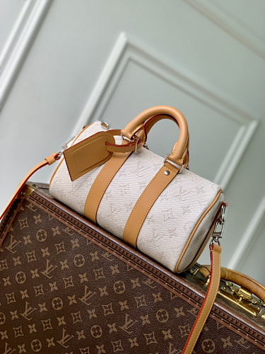 Louis Vuitton travel bag