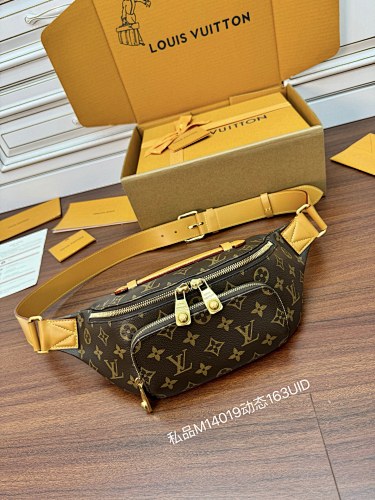 Louis Vuitton bag