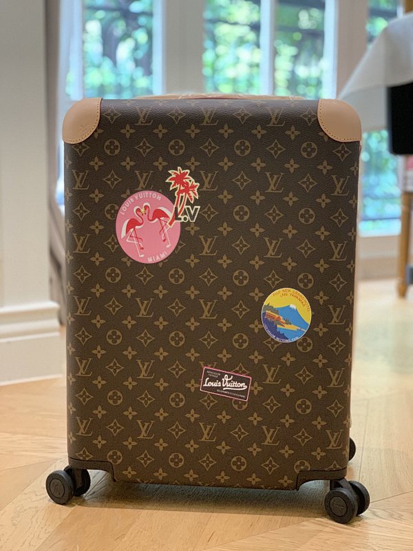 Louis Vuitton Trolley Case