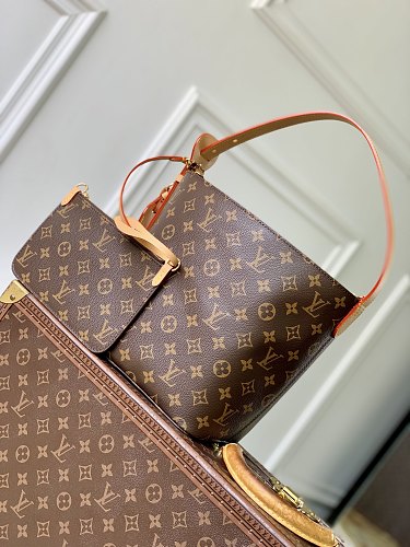 Louis Vuitton crossbody bag