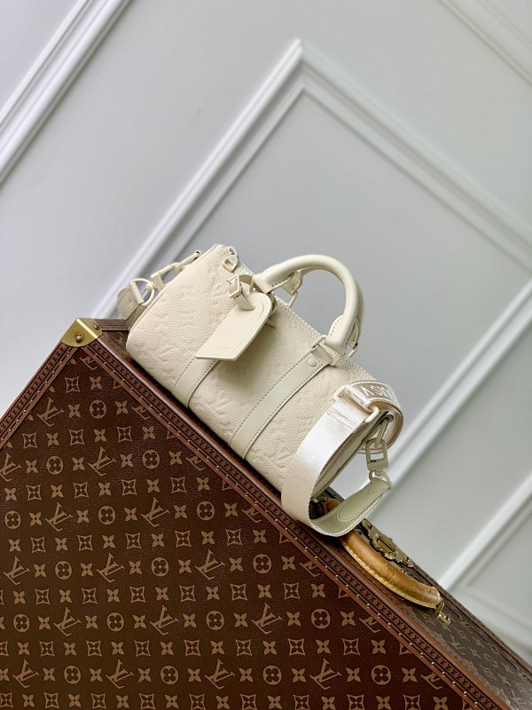 Louis Vuitton travel bag
