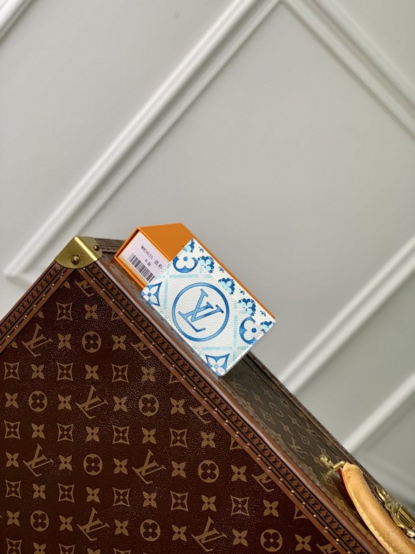 Louis Vuitton card holder