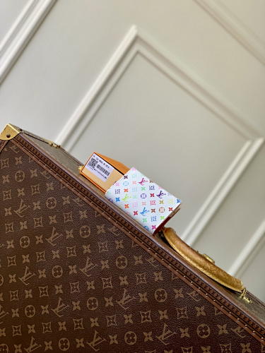 Louis Vuitton card holder
