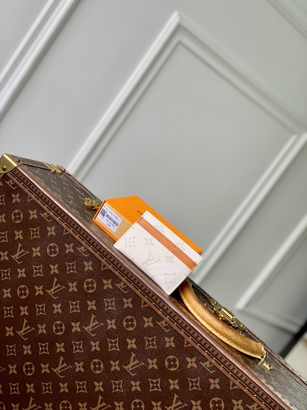 Louis Vuitton card holder