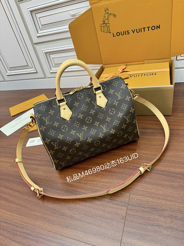 Louis Vuitton bag