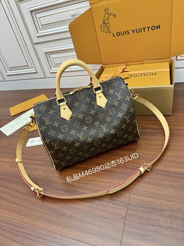 Louis Vuitton bag