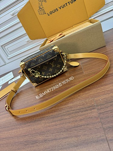 Louis Vuitton bag