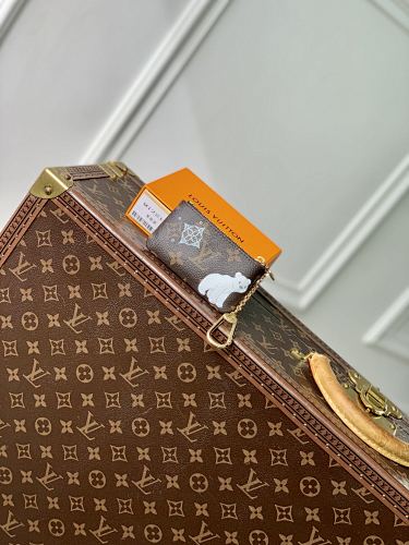 Louis Vuitton bag