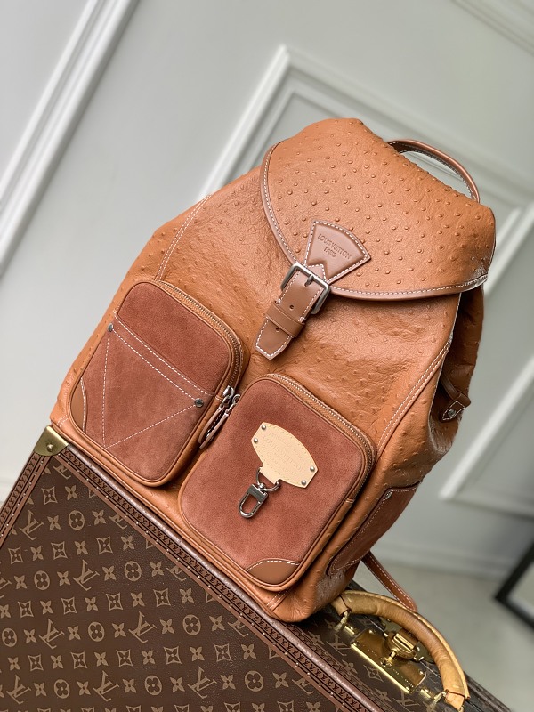 Louis Vuitton backpack