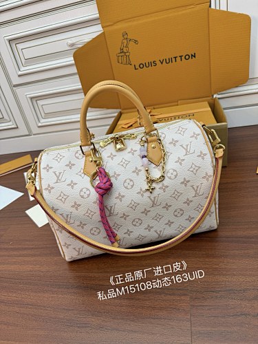 Louis Vuitton bag