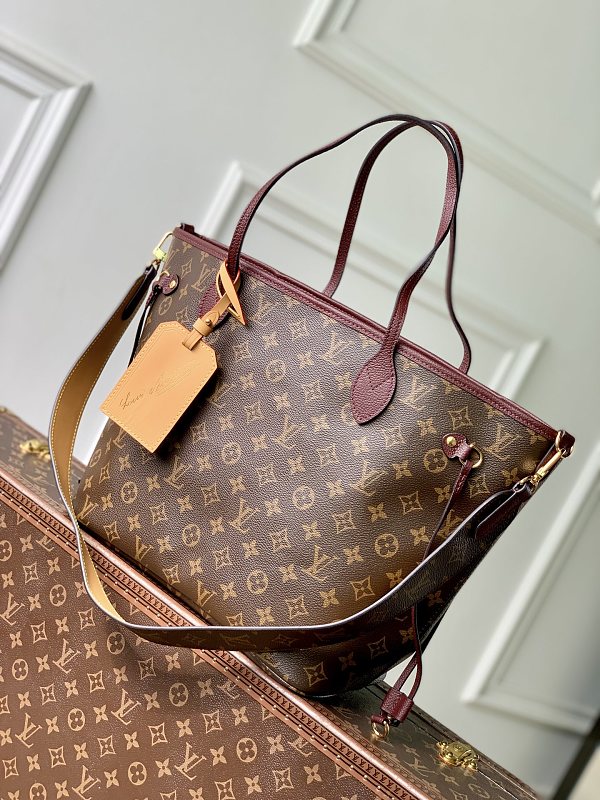 Louis Vuitton bag