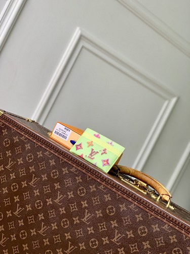Louis Vuitton card holder