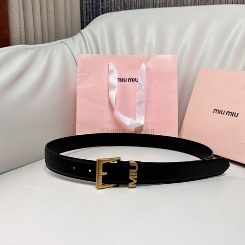 Miu Miu bag