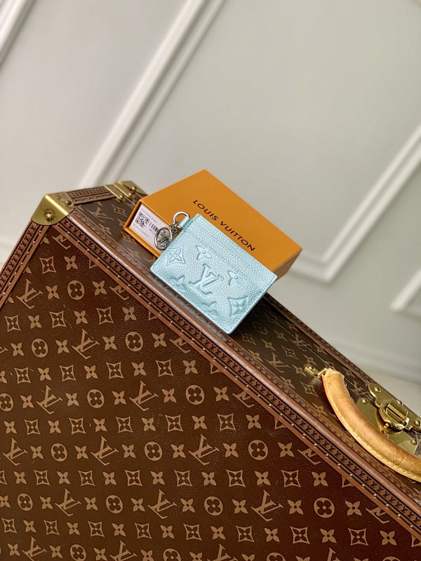 Louis Vuitton card holder