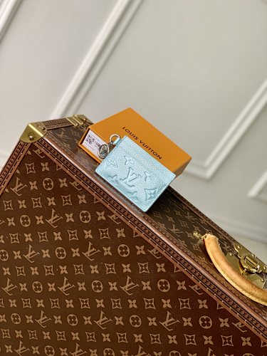 Louis Vuitton card holder