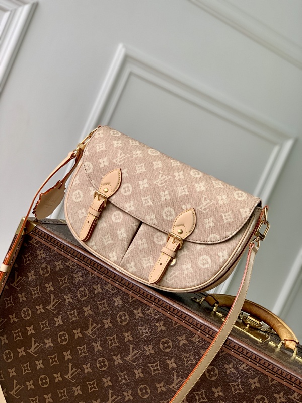 Louis Vuitton bag