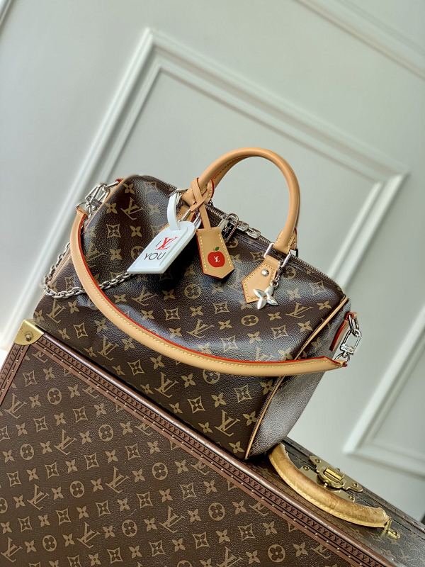 Louis Vuitton bag