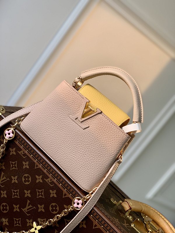 Louis Vuitton bag
