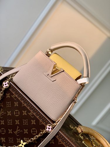 Louis Vuitton bag
