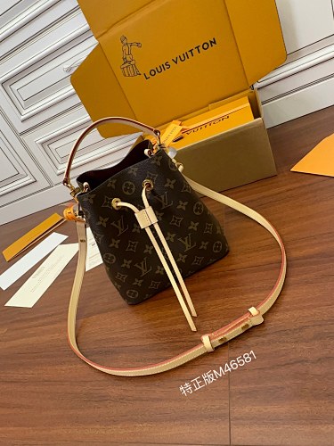 Louis Vuitton bag