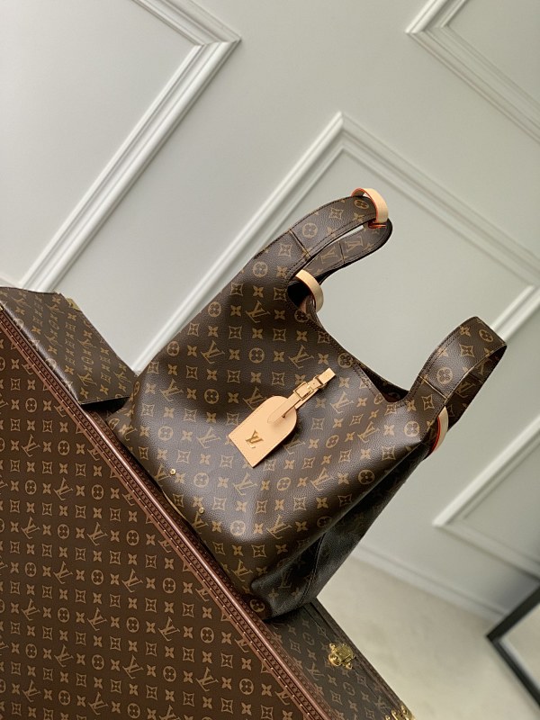 Louis Vuitton shopping bag