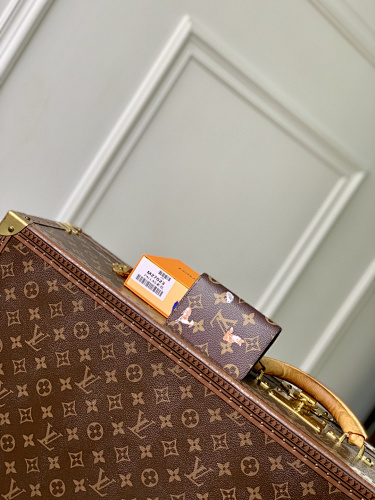 Louis Vuitton wallet