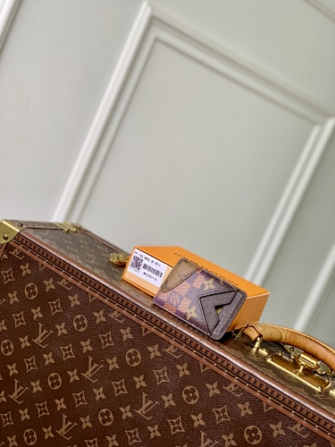 Louis Vuitton card holder