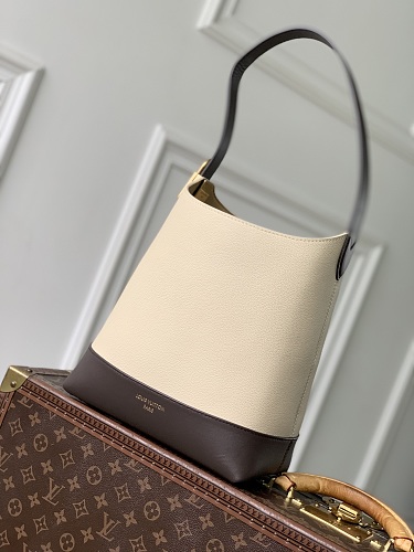 Louis Vuitton shoulder bag