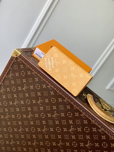 Louis Vuitton wallet