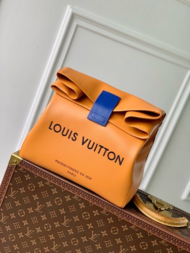 Louis Vuitton shopping bag