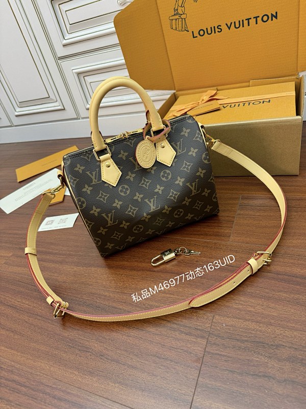 Louis Vuitton bag