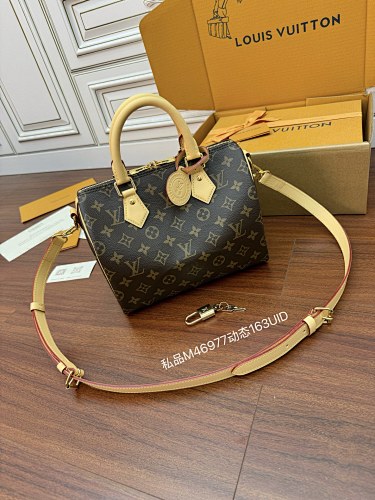 Louis Vuitton bag