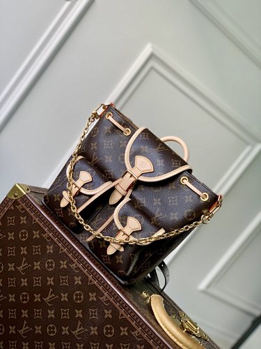 Louis Vuitton backpack