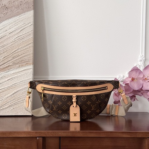Louis Vuitton belt bag