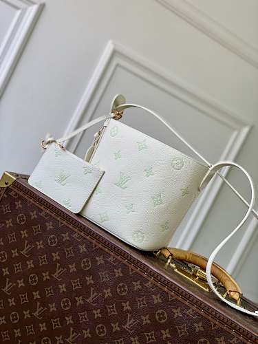 Louis Vuitton travel bag