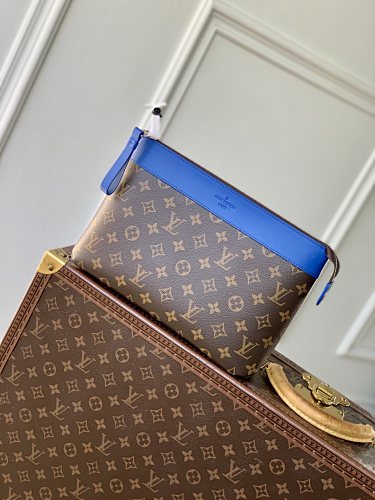 Louis Vuitton clutch