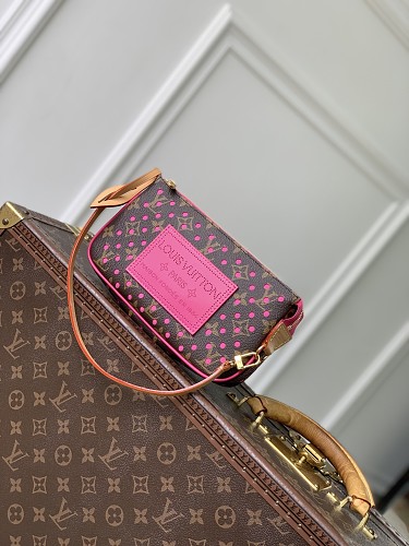 Louis Vuitton bag
